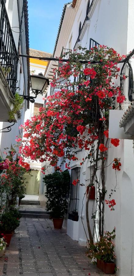 Precioso Y Acogedor Atico Old Town Διαμέρισμα Μαρμπέλλα Εξωτερικό φωτογραφία