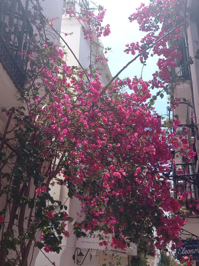 Precioso Y Acogedor Atico Old Town Διαμέρισμα Μαρμπέλλα Εξωτερικό φωτογραφία